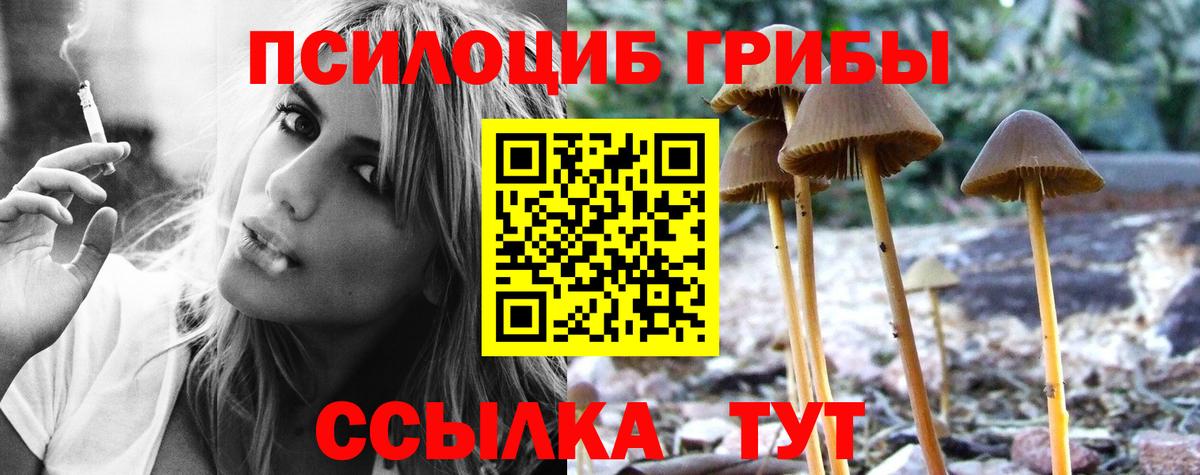 Псилоцибиновые грибы ЛСД  Вход с VPN  Псилоцибиновые грибы ЛСД  Евпатория 