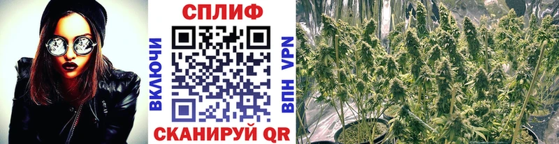 Бошки марихуана THC 21%  Евпатория 